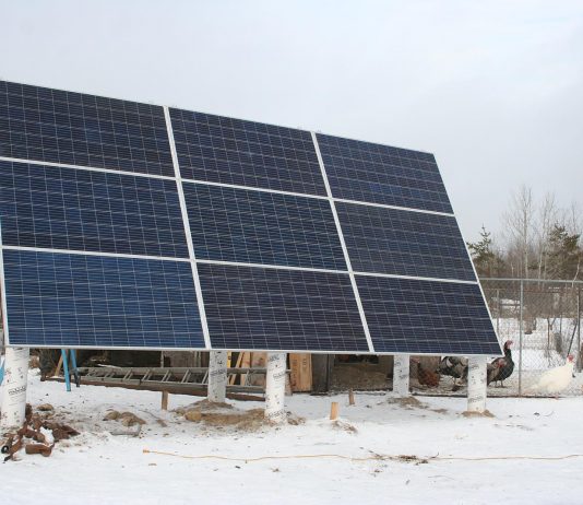 Are any of you getting tired of winter?