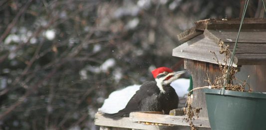 We love off-season canning!
