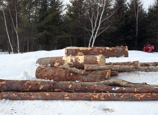 We’re keeping busy