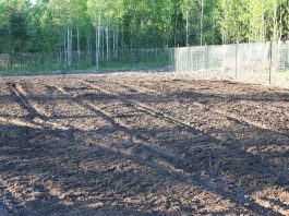 We’re looking for one or more apprentices this spring