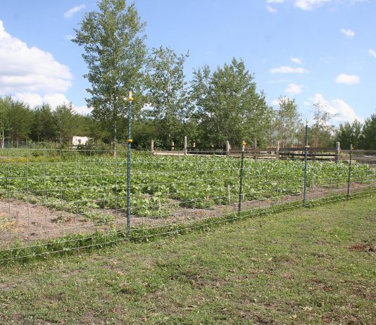 The wind’s blowing up more snow