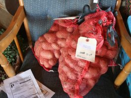 We got our Bliss Triumph seed potatoes from Alaska