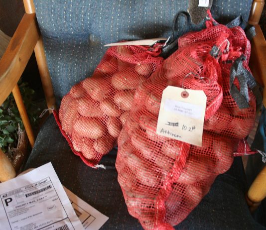 We got our Bliss Triumph seed potatoes from Alaska