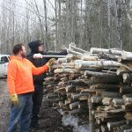 Firewood_5461