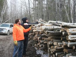 We made use of a nice weekend