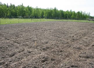 It finally rained — 3 inches