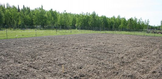 It finally rained — 3 inches