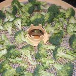 Broccoli_5741