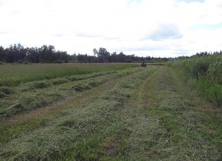 Harvest time starts in earnest