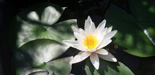 After another two inches of rain, the sun’s out and work goes on