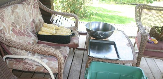 Who said animals are dumb?