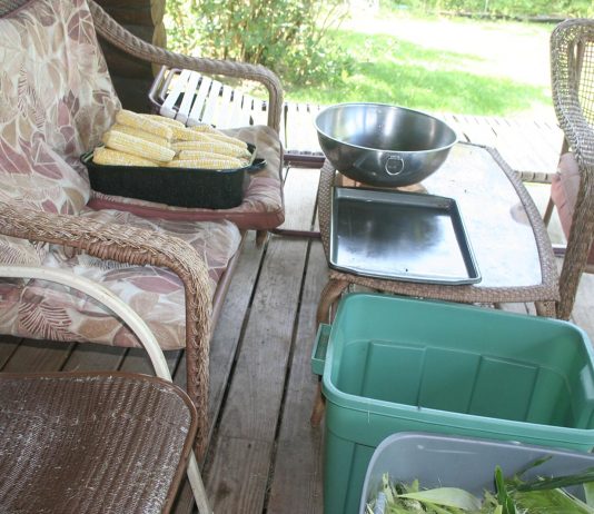 Who said animals are dumb?