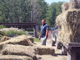 We’re finally getting some hay in