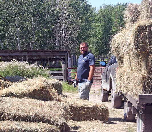 We’re finally getting some hay in