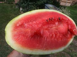 And then my computer crashed