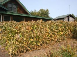 We’ve had several freezing nights