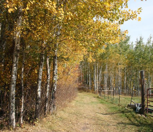 It’s weird; after a night of 20 degrees, yesterday we hit 80.