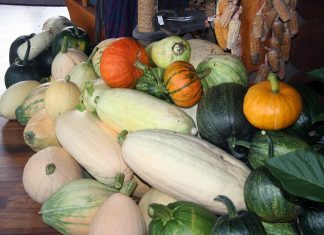 With a frost warning, we worked like dogs for two days, harvesting and covering vegetables