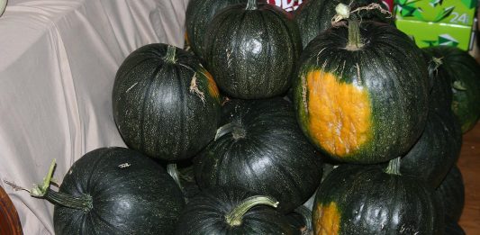 Well, it keeps on snowing and it’s not even Halloween