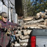 Firewood_6231