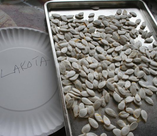 We can’t stop COVID-19 but we can bring in firewood and save seeds