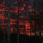 Sunset_6335