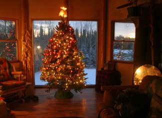 It’s beginning to look a lot like Christmas