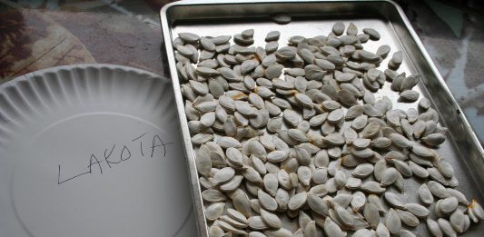 We’re still keeping busy with seed orders