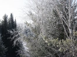 We’ve been spending a lot of time keeping everyone warm