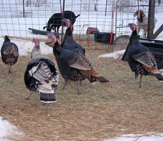 We’re so thrilled with our warmer weather