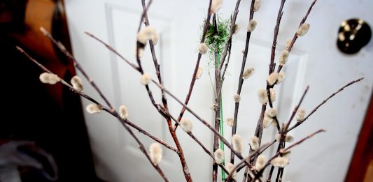 Well, our nice weather came to a snowy end