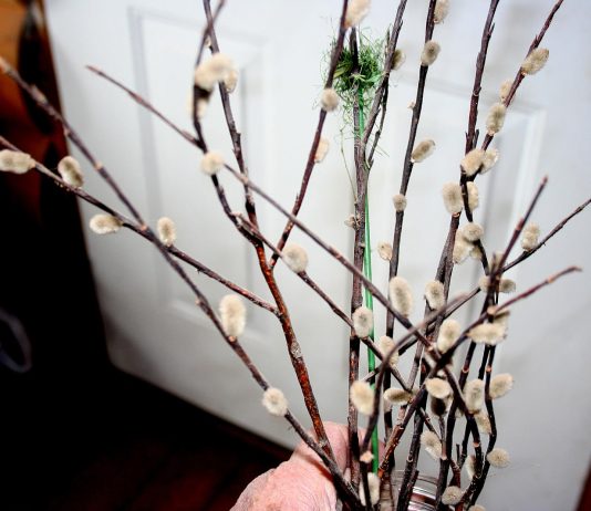 Well, our nice weather came to a snowy end