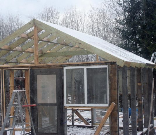 We got half the roof on the new greenhouse