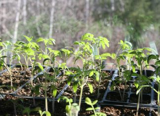 The sun is finally out