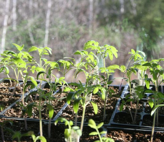 The sun is finally out