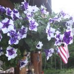 Basket_6919