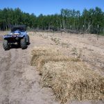 Mulching_7018