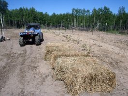 We’re just about done planting