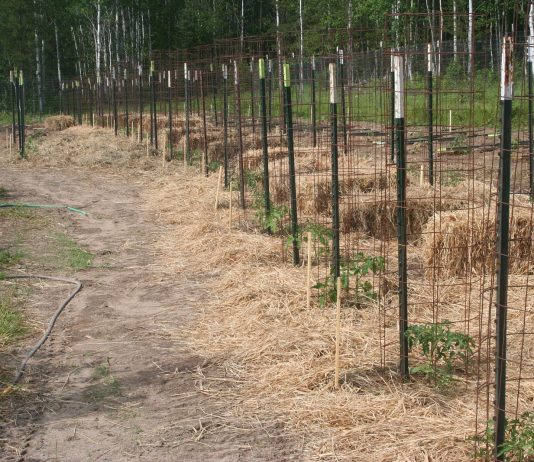 We’re struggling with a heat wave