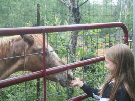 We finally got a good rain