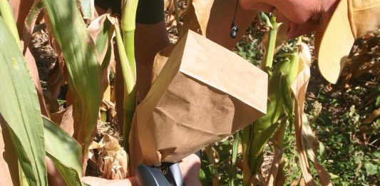 We had really dense smoke for two days