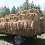 Mulching-hay_7227