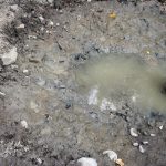 Water-hole_7255