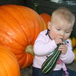 Delilah-pumpkin_7521