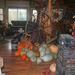 Harvest_7576