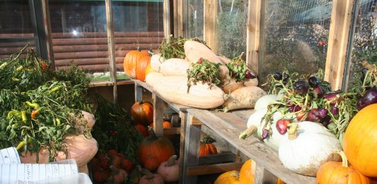 We worked super hard to get ready for freezing temperatures