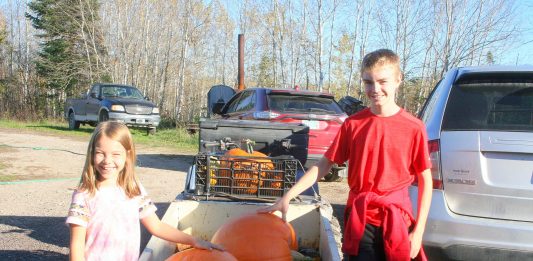 We got a frost but the sun is out and the birds are singing