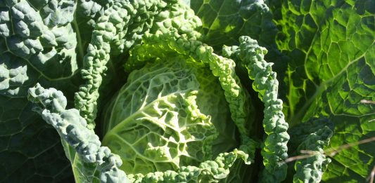 Today dawned rainy and raw