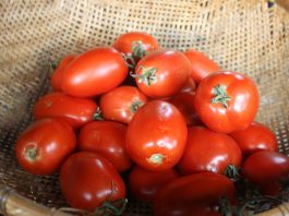 Still raining but I just made the best salsa