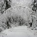 Driveway-snow_7689